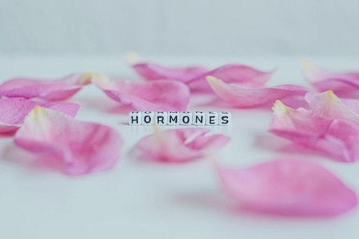 Hormones spelled out among pink flower petals